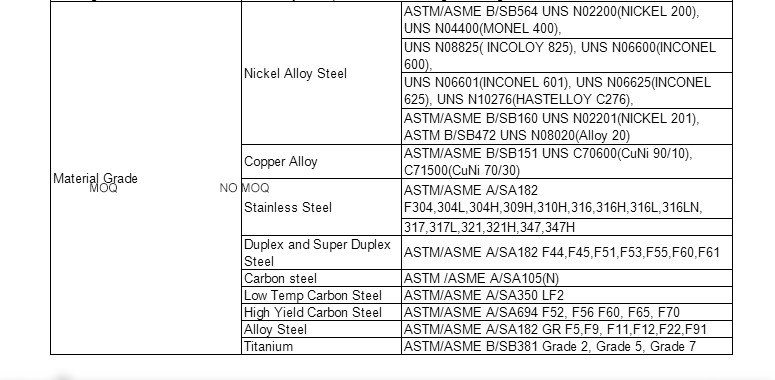 Duplex Stainless Steel Forged Steel Flanges ASTM A182 F55 BL Blind Flange
