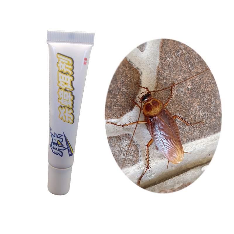 PfDNV Biological german cockroach killer Blackbeetle Attractant Safe For Human And Pets