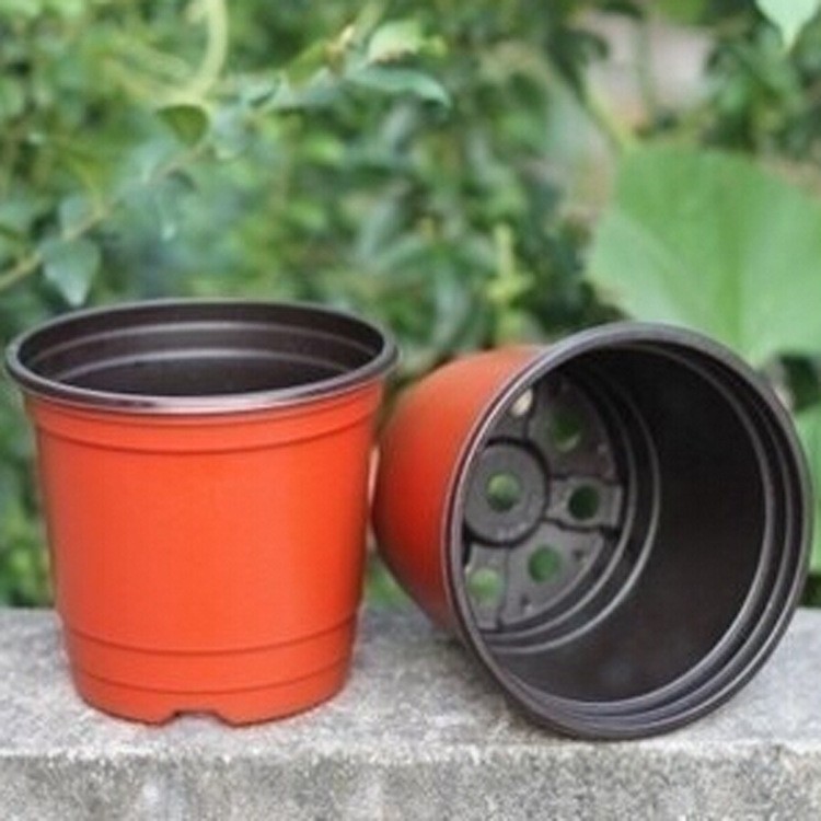 Plastic Growing tray Vegetable garden plants plastic polyethylene cell seed tray