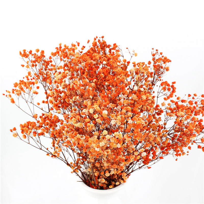 Non Toxic Harmless Preserved Baby Breath Flowers For Ins Valentine Gift