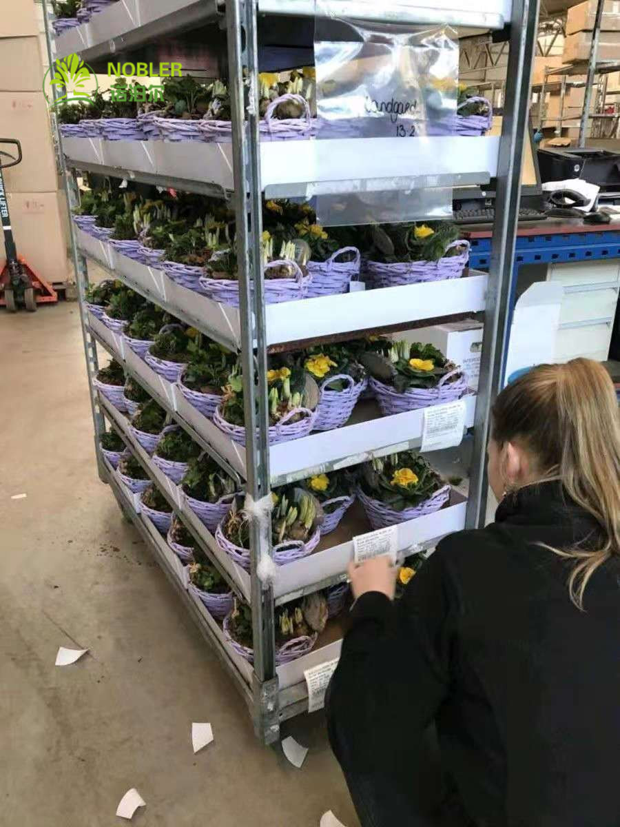 Flower Trolley Flower Frame Seedling Car Hot Dip Galvanizing