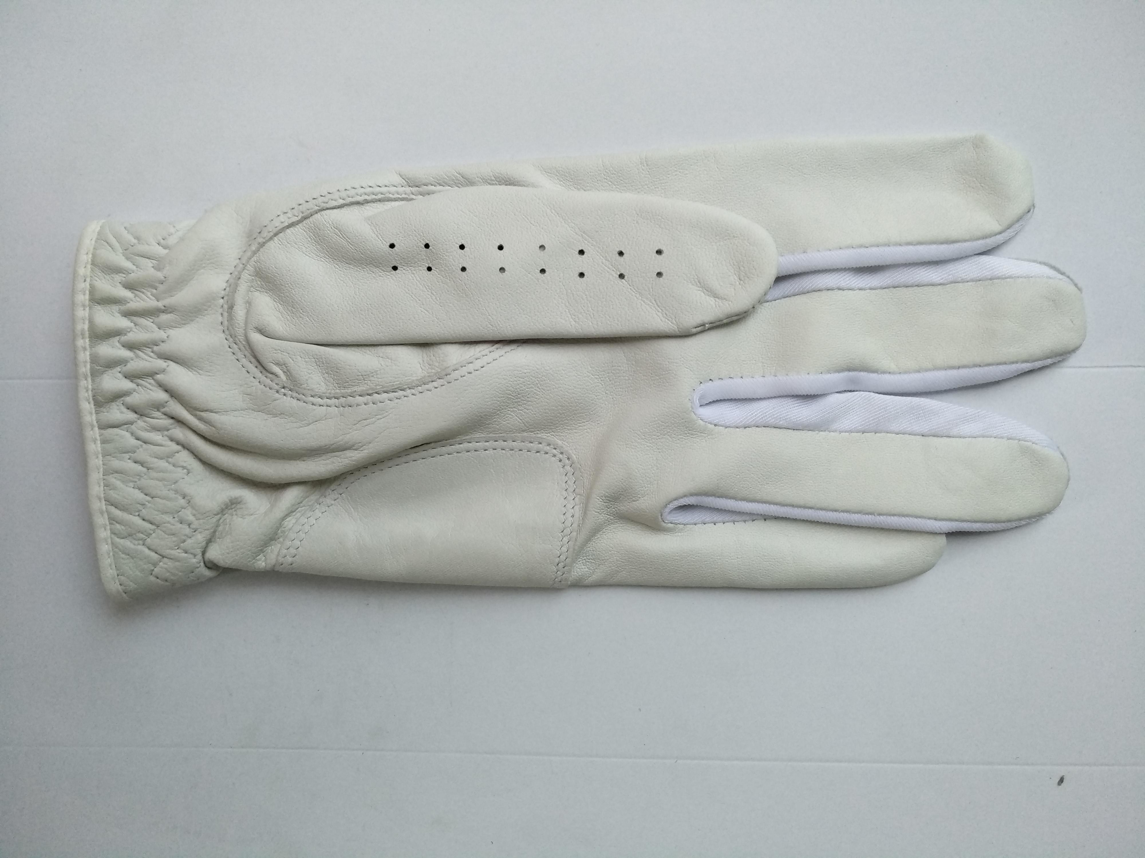 golf glove , golf gloves , glove , gloves