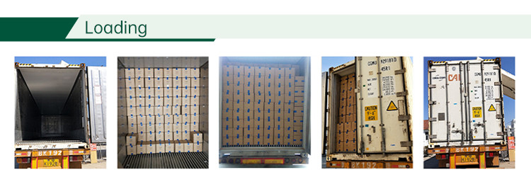 HACCP KOSHER Frozen Shelled Edamame Beans Japanese Style