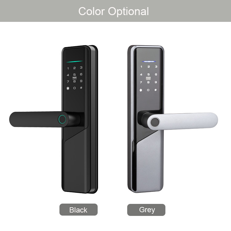 Biometric Fingerprint Electronic Smart Door Locks High Security With TTlock Tuya App