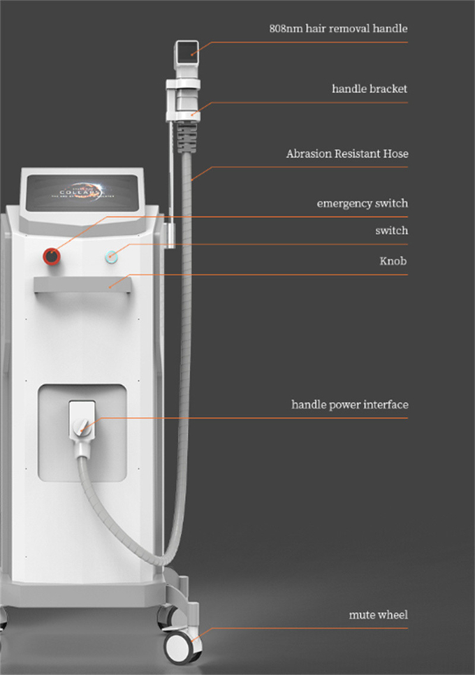 Professional 12*26mm Spot Diode Laser Hair Machine Vertical Style Skin Rejuvenation