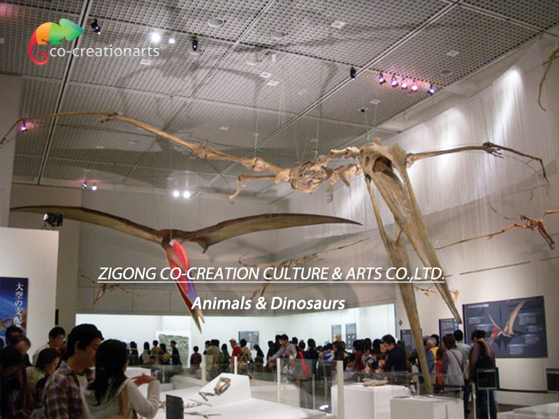 Museum Exhibition Resin Dinosaur Skeleton Quetzalcoatlus Skeleton Customizable
