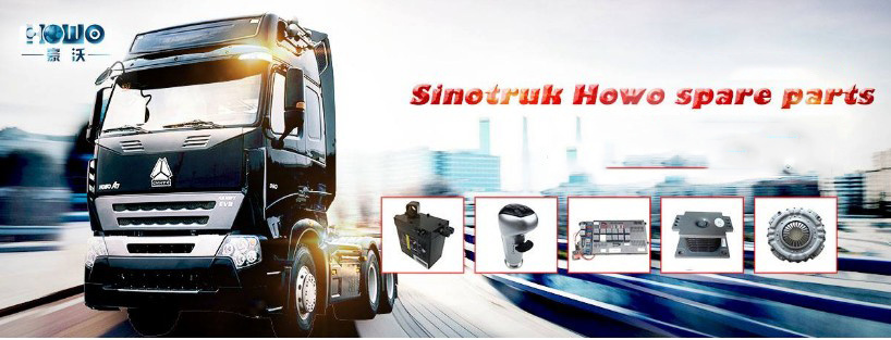 Vg1500050096 Sinotruk HOWO Spare Parts with Higher Quality