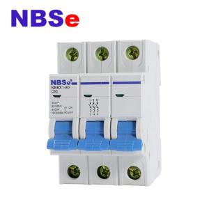 China IEC60898 Double connection 2P 100A Main Switch MCB Circuit Breakers on sale