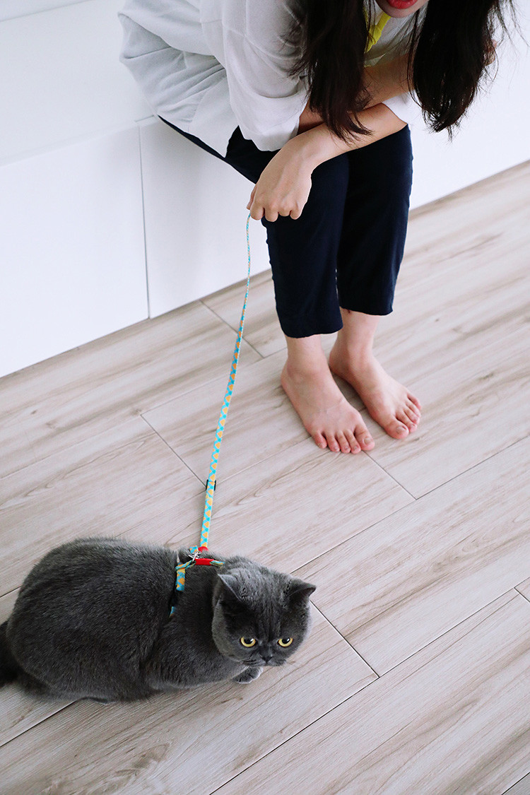 Kitty Travel Cat Harness And Leash For Walking Comfortable Polyester Padded Soft