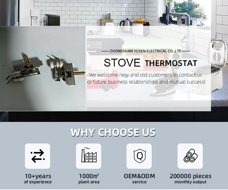 VDE 250V / 12A Electric Stove Thermostat with 5C% Tolerance and Temperature Control