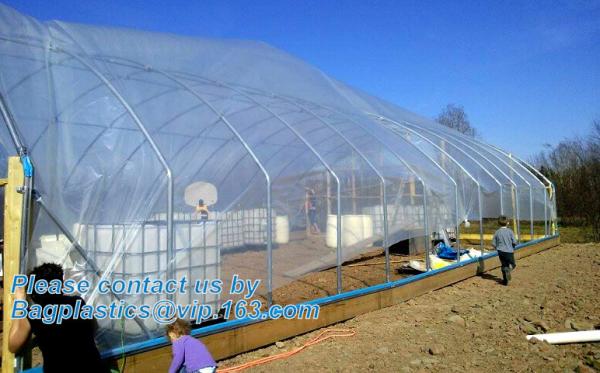 Agricultural PE Film, Agriculture Polyethylene, Film, mulch films, horticultural
