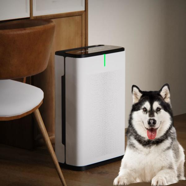 Powerful Pet Air Purifier With Medical Sterilization Equipment And Intelligent