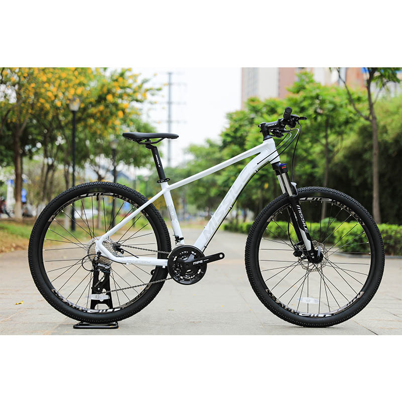 Teenager Christmas Gift 24 Speed Mountain Bike with Titanium Frame and Durable Design
