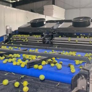 360° Rotational Scanning Plum Application 8 Lanes Industrial Automation System