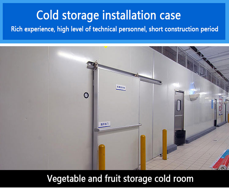 Vegetable Cold Storage Blast Cold Room Preservation Frozen 800ton 1000 KG Weight