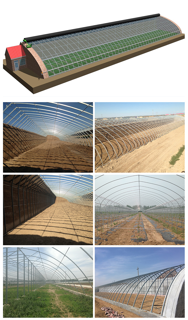 Hydroponic System Included High Strength Solar Greenhouse for Vegetable Fruits Flowers