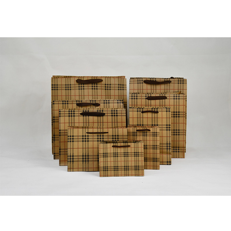 5Kg Weight Capacity Kraft Shopping Paper Bags Eco Friendly Packaging Recycled