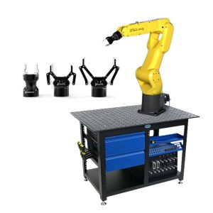 China Material Handling Order Picking Robots FANUC LR Mate 200iD 7L 14L 6 Axis Compact Industrial Robot Robotiq Grippers on sale
