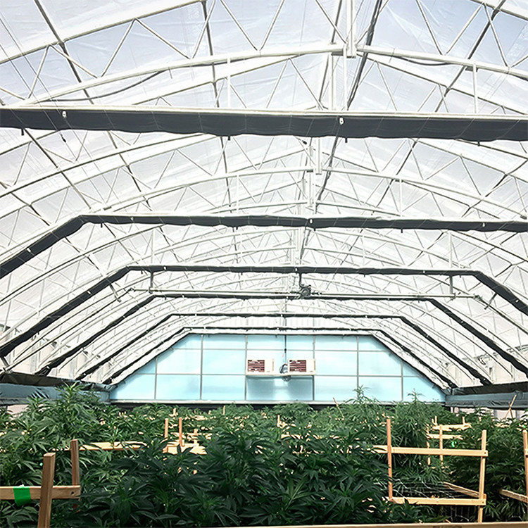 Agricultural Single Span Poly Hydroponic System Tunnel Blackout Greenhouse Light Deprivation Automatic