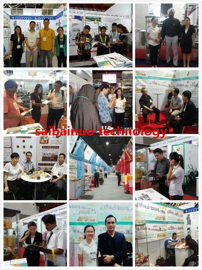 Automatic twin screw extruder animal feed processing machine