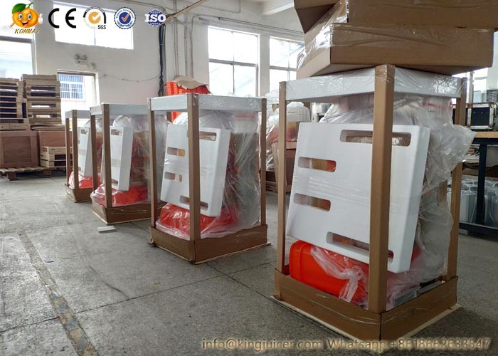 304 Stainless steel Fresh Squeezed Orange Juicer Machine 60% Yield