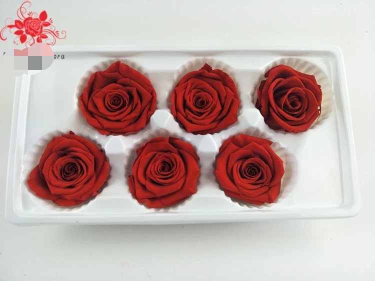 Japanese preserved red rose flowers for wedding flower stands Natural Fresh flower rose