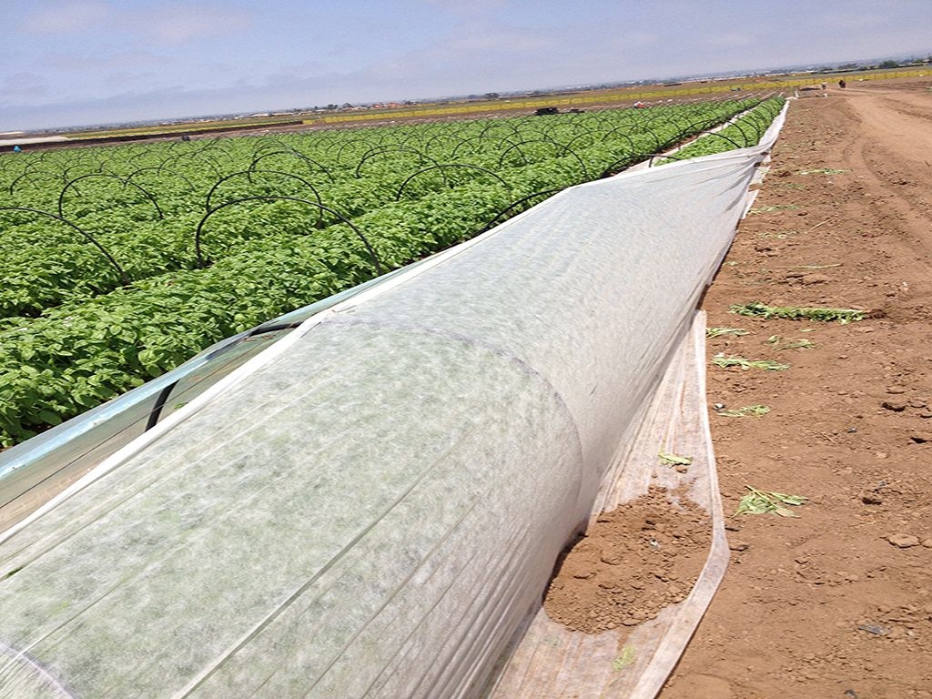 Ground Cover PP Agriculture Non Woven Fabric Soil Moisture Distribution