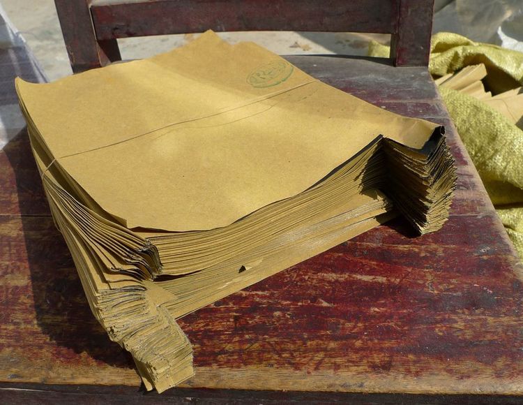 Mango fruit grow bag 13 years factory