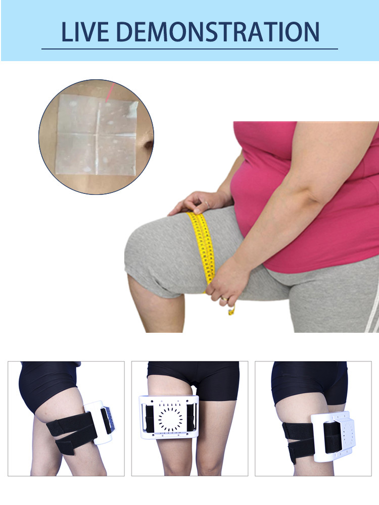 LF-251 Portable Mini Cryo Frozen Fat Machine Mini Cryotherapy Pad Frozen Freeze Slimming Cool Fat Machine