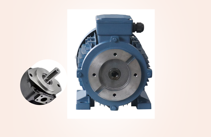 hydraulic electric motor