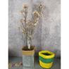 Buy cheap Sundries Set Multifunctional Reusable Washable Handicraft Plant Waterproof Paper from wholesalers