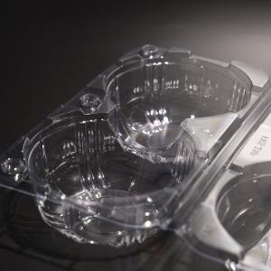 Eco Friendly Biodegradable PET Rectangular Food Container with 2 Compartments