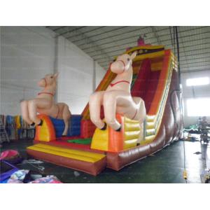 Merry-go-round Inflatable Slide (CYSL-07)