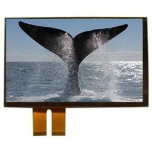 IPS LCD TFT Display Module