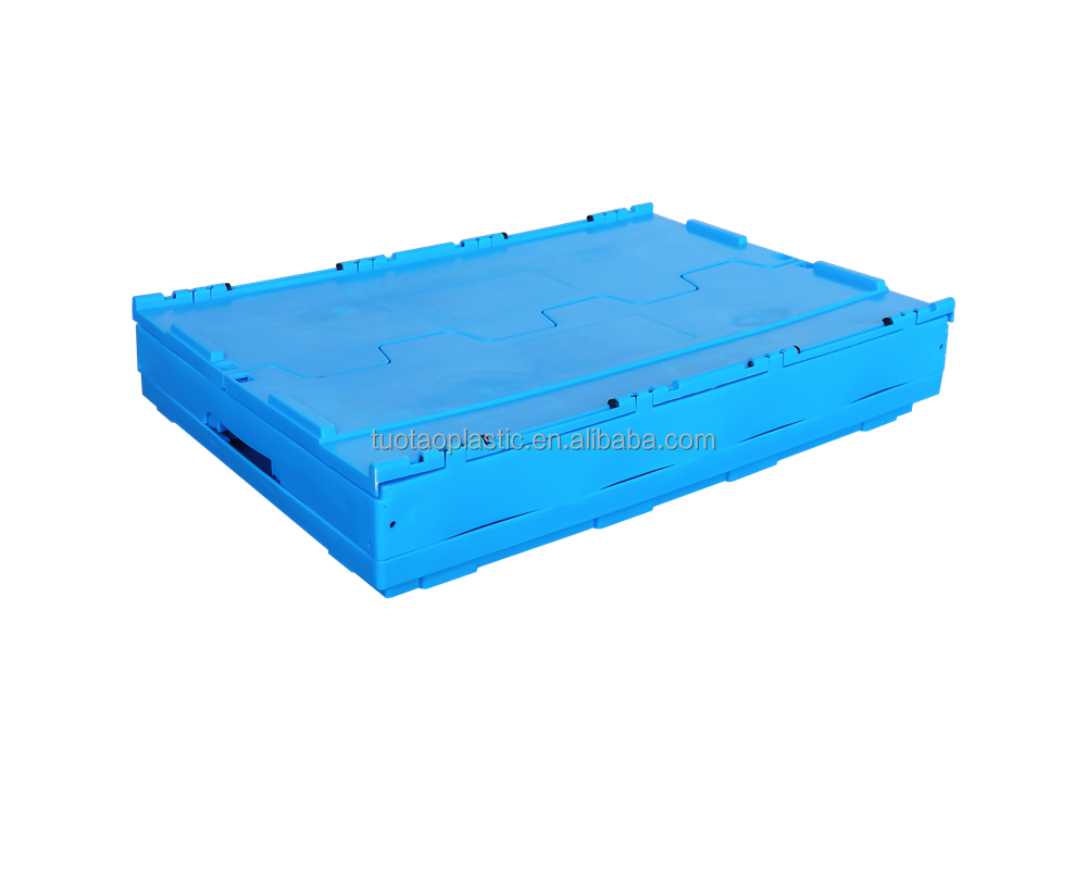 PE Material Custom Plastic Egg Tray for Food Storage Container Sturdy Mesh Style