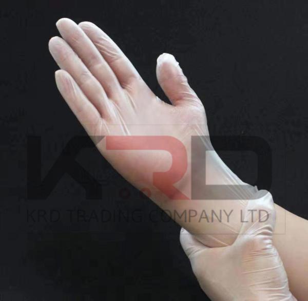 China medical examination gloves surgical supply powder or powder free latex