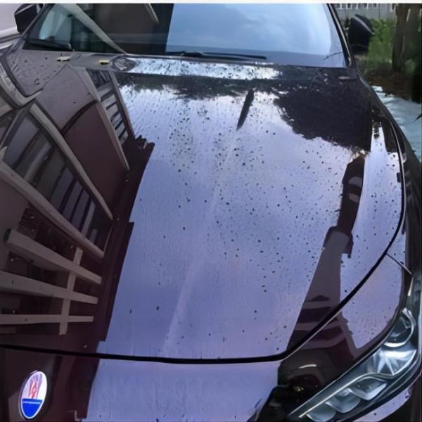 No Yellowing Stretchable Automotive Paint Protection Film Wrap Stickers