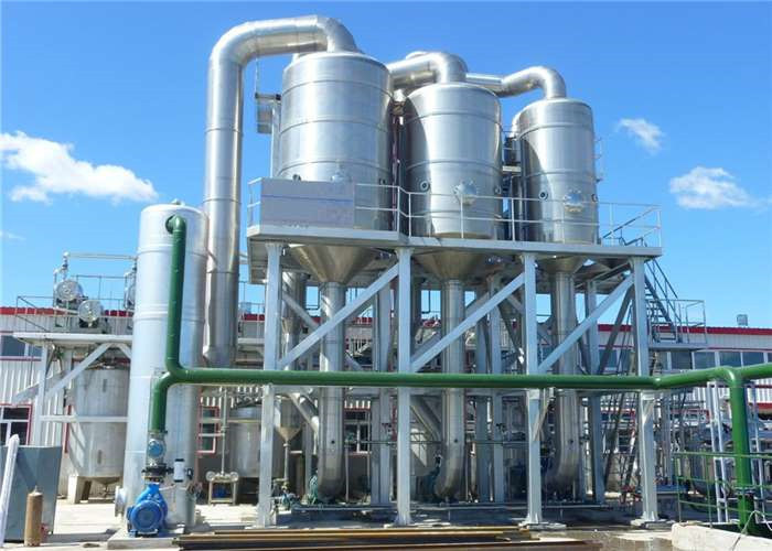 Onion Garlic Ginger Paste 60T/D Tomato Processing Line