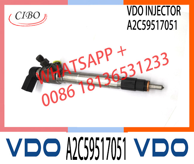 Diesel Fuel Injector BK2Q-9K546-AG A2C59517051 For Ford Transit / Ranger 2.2 TDCi A2C59517051