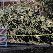 storm damage
