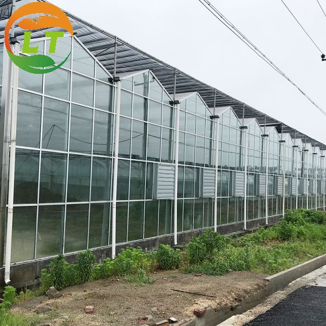 Large Multi-Span Glass Greenhouse with Hot-Dip Galvanized Skeleton and Control System