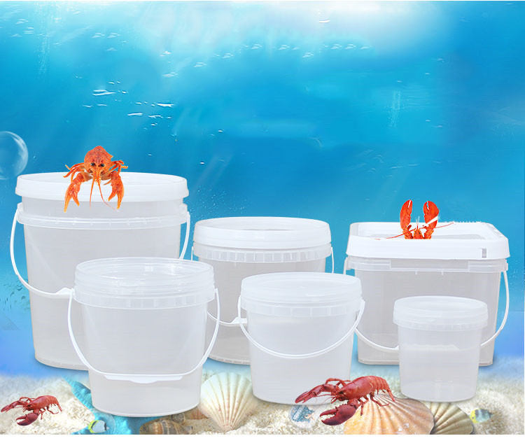 Food Grade PP Raw Materials Customized Plastic Bucket Elevator for Clear 3L Bucket