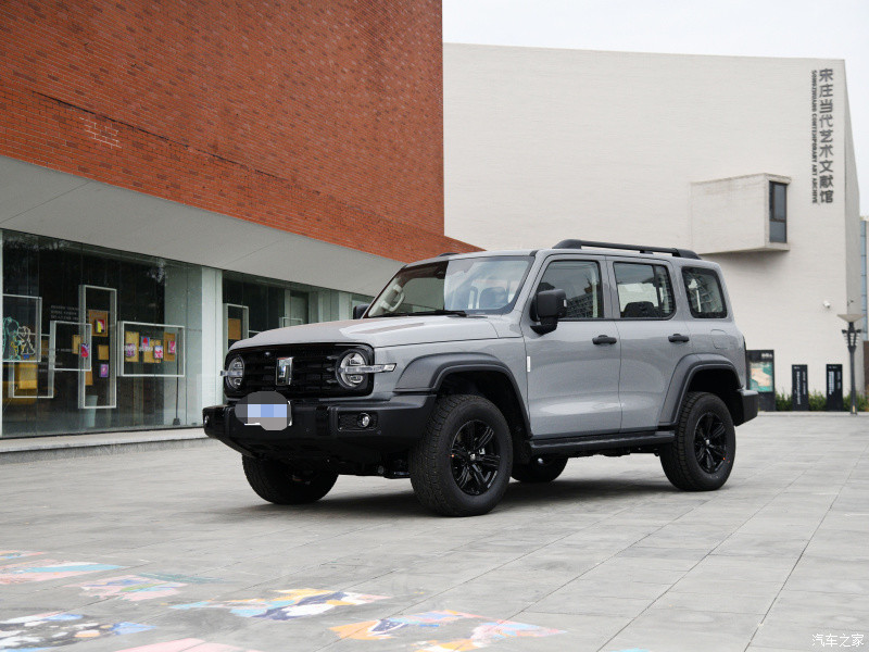 Tank 300 2022 2,0T Border Limited Version Compact SUV Automatic Manual Gearbox