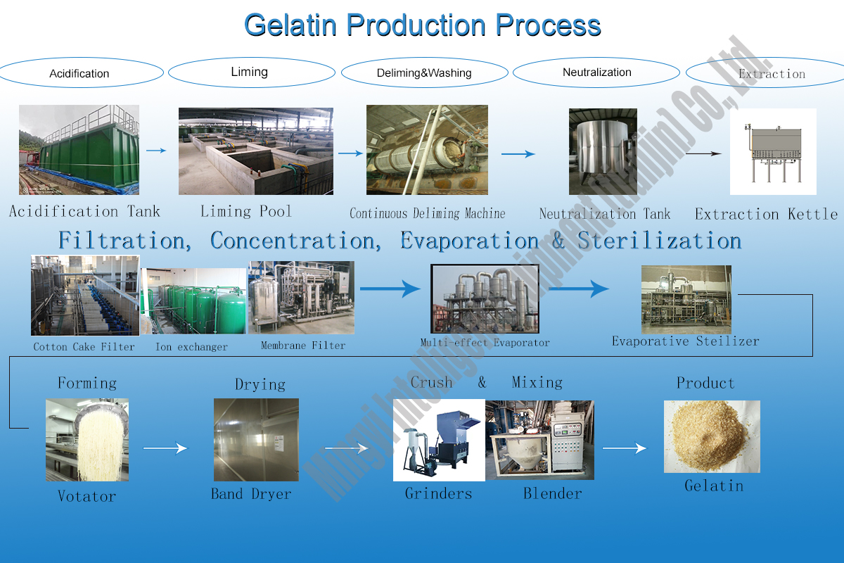 Customized Steel Air Autoclave Large Evaporative Sterilizer Machine Reference Manual