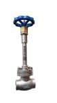  Medium Pressure PN40 Cryogenic Globe Valve With Long Stem Manufactures