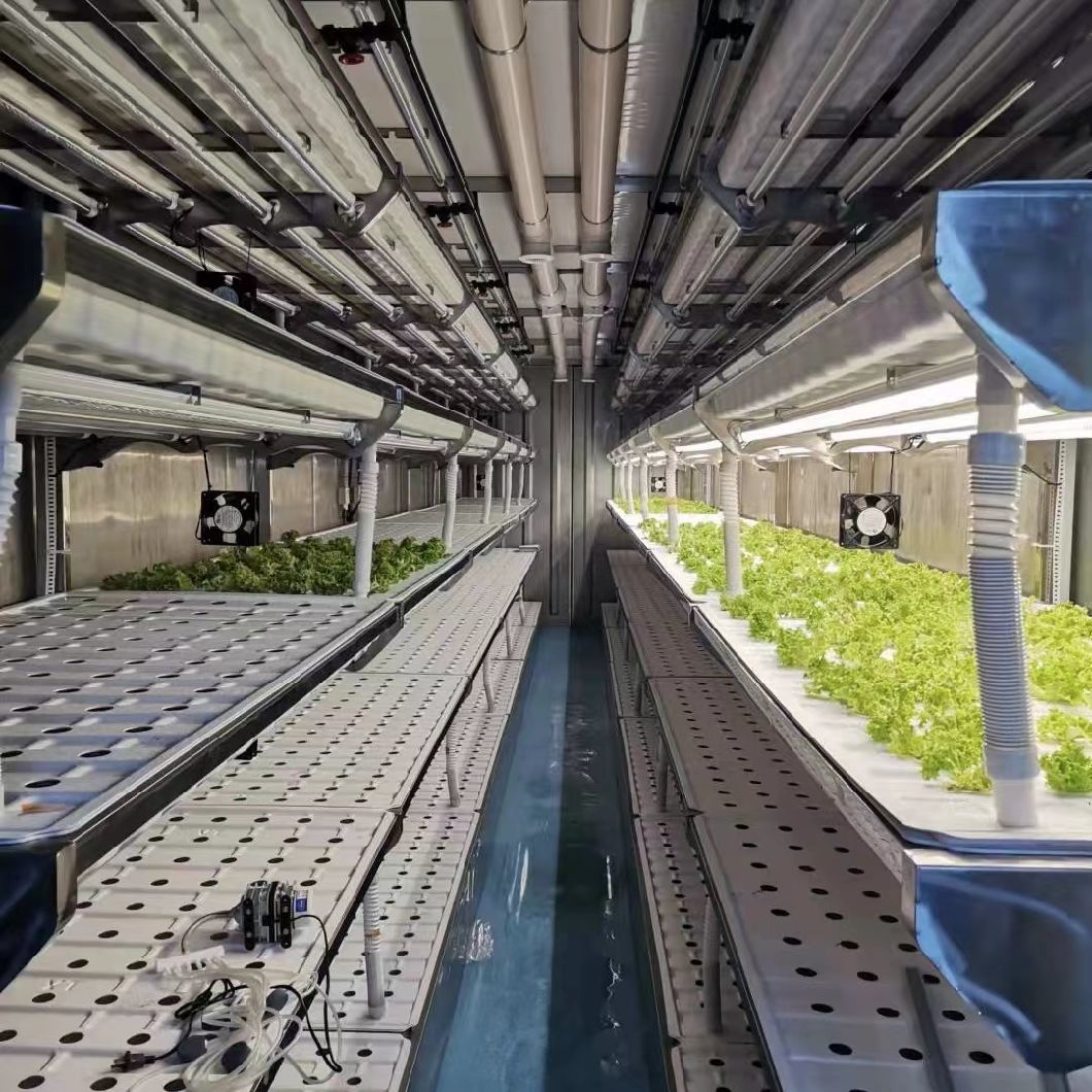Shipping Container Greenhouse for Leafy Veggies