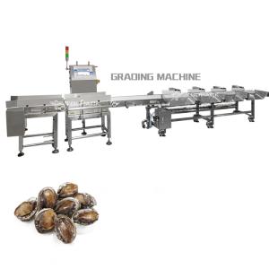 Industry Automatic Weight Sorting Machine