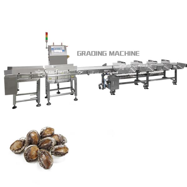 Quality Industry Automatic Weight Sorting Machine for sale