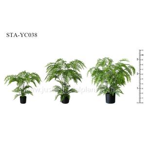 China Greenery Artificial Fern Tree Unprecedented Authenticity Black Potted Plant on sale