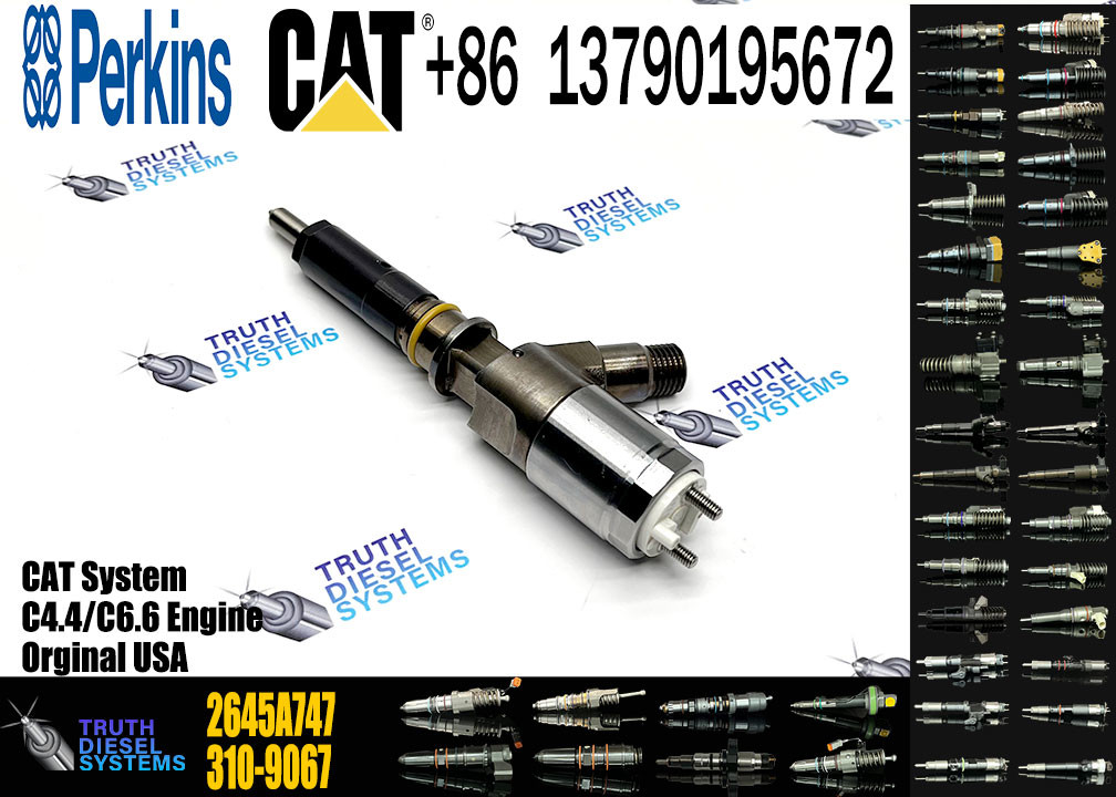 Engine Fuel Injector 2645A747 10R-7671 10R-7672 2645A718 10R-7673 10R-7676 2645A734 10R-7674 10R-7668